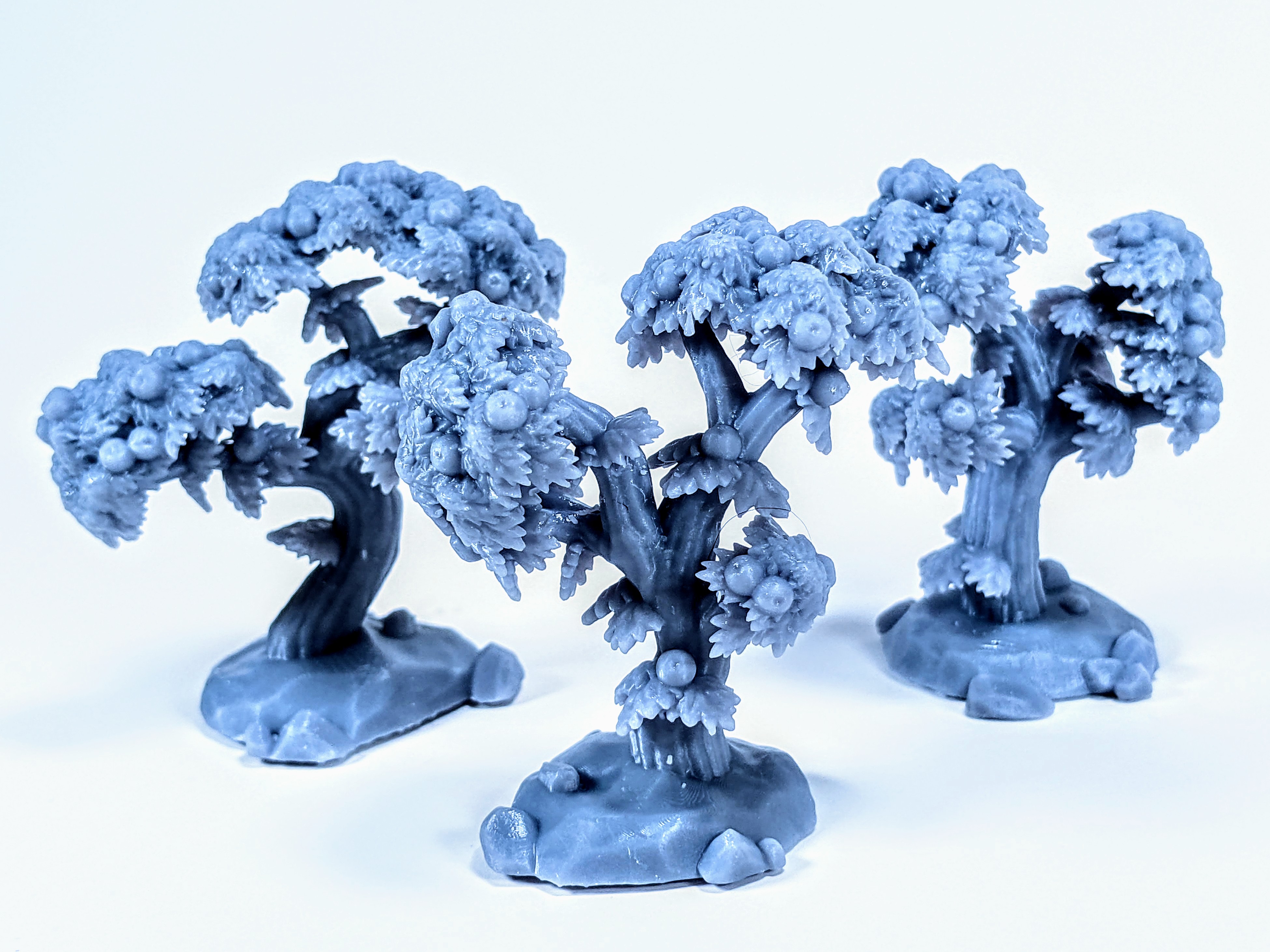 Berry Shrub Set